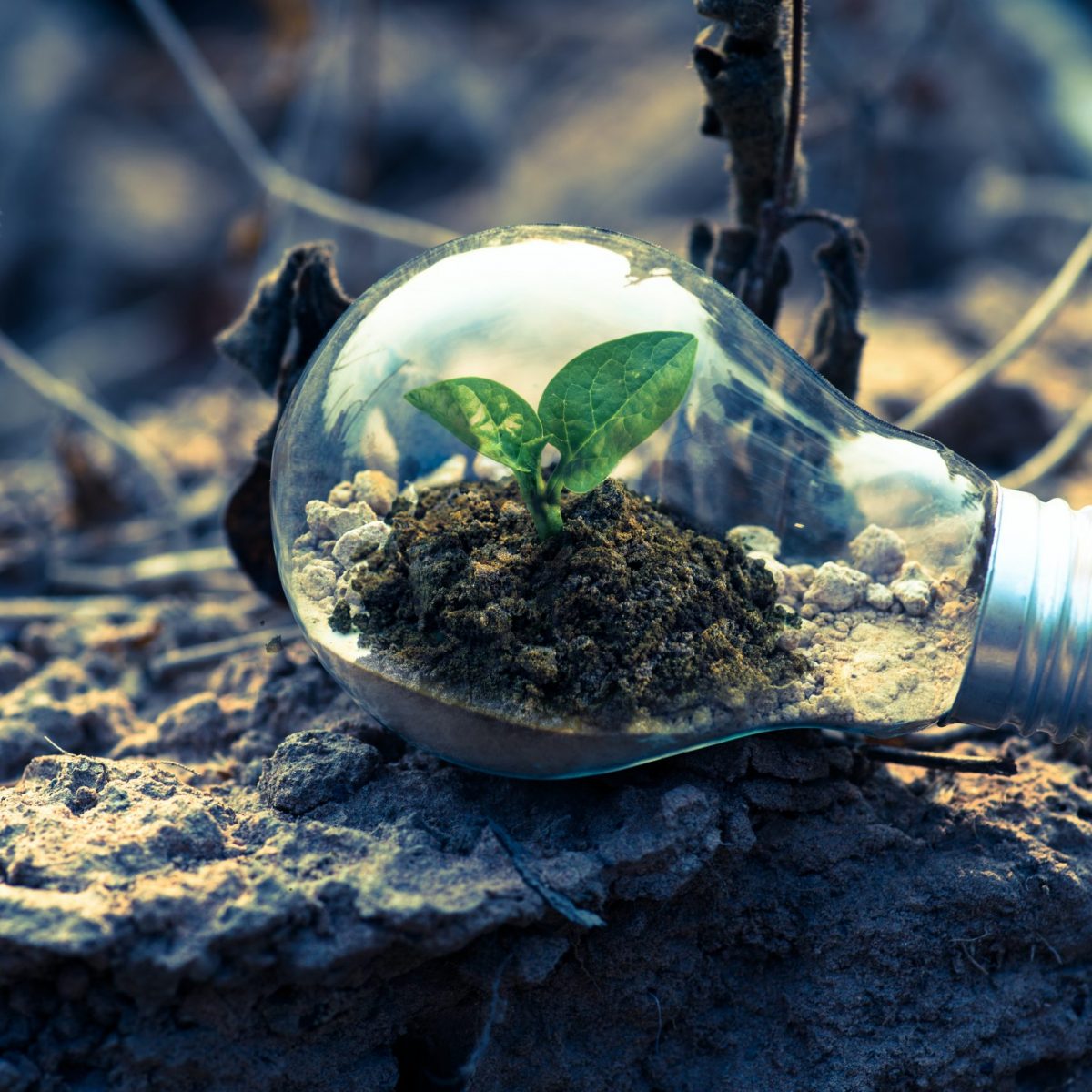 GREENPRENEUR Project